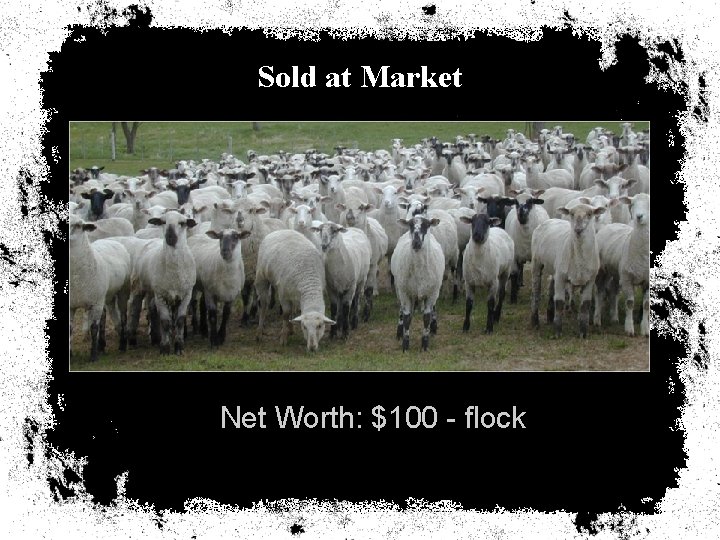 Sold at Market Net Worth: $100 - flock 