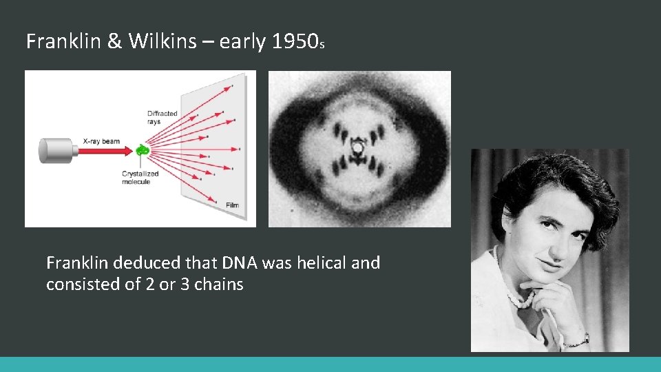 Franklin & Wilkins – early 1950 s Franklin deduced that DNA was helical and