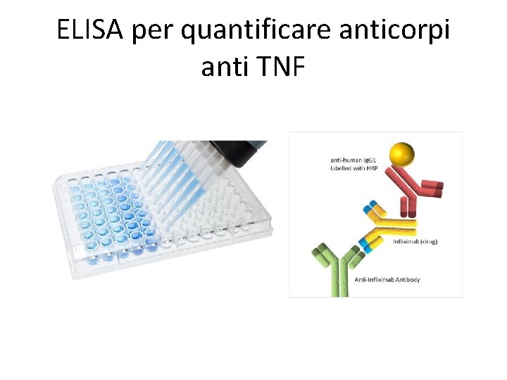 ELISA per quantificare anticorpi anti TNF 
