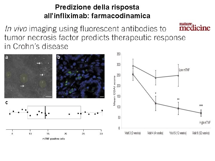 Predizione della risposta all’infliximab: farmacodinamica 