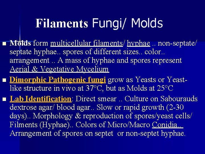 Filaments Fungi/ Molds n n n Molds form multicellular filaments/ hyphae. . non-septate/ septate