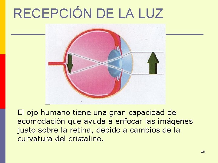UNIDAD 3 LA LUZ 1 OBJETIVOS Al trmino