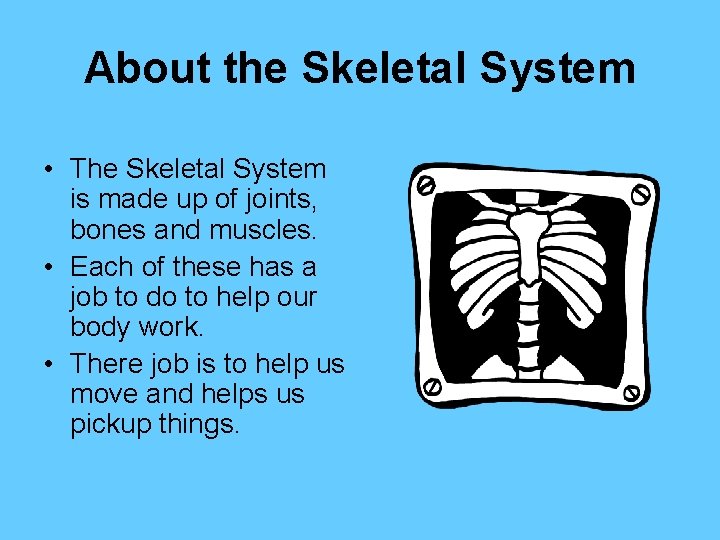 About the Skeletal System • The Skeletal System is made up of joints, bones