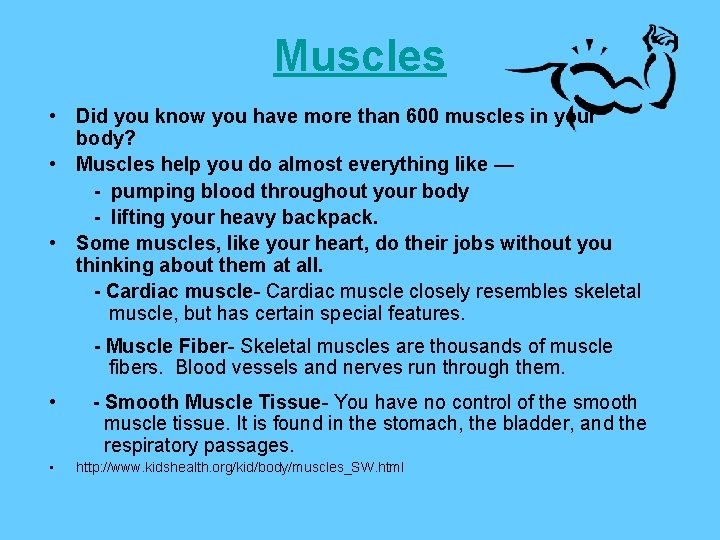 Muscles • Did you know you have more than 600 muscles in your body?