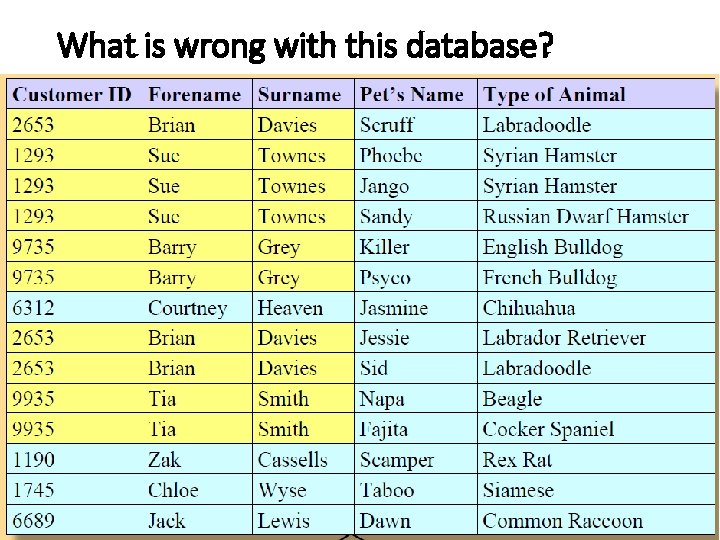 What is wrong with this database? 