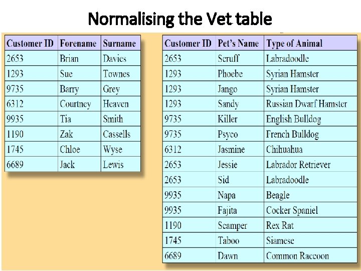 Normalising the Vet table 