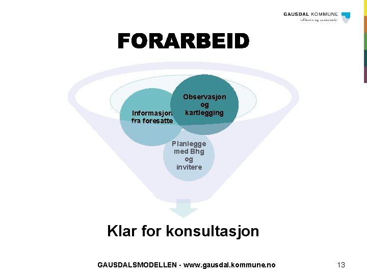 Informasjon fra foresatte Observasjon og kartlegging Planlegge med Bhg og invitere Klar for konsultasjon