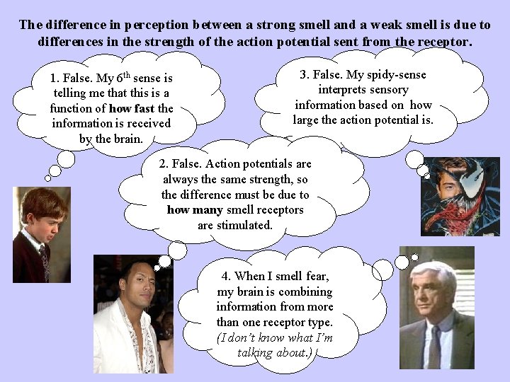 The difference in perception between a strong smell and a weak smell is due