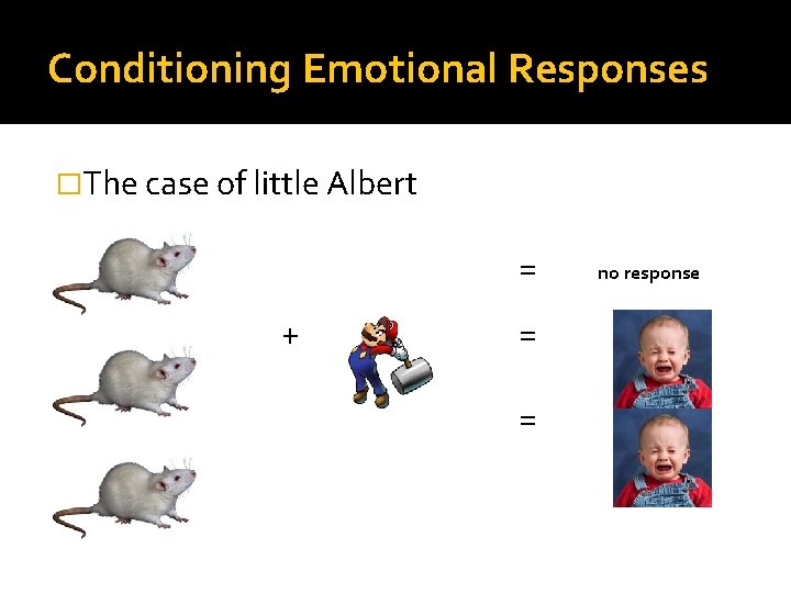 Conditioning Emotional Responses �The case of little Albert = + = = no response