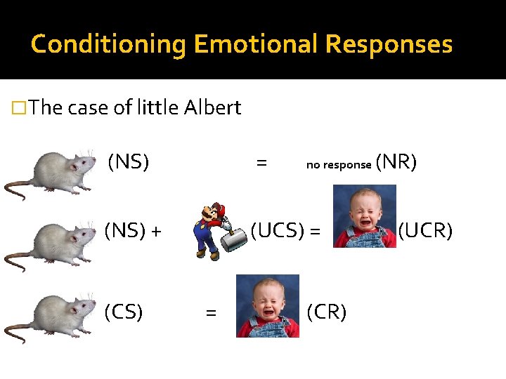 Conditioning Emotional Responses �The case of little Albert (NS) = (NS) + (UCS) =