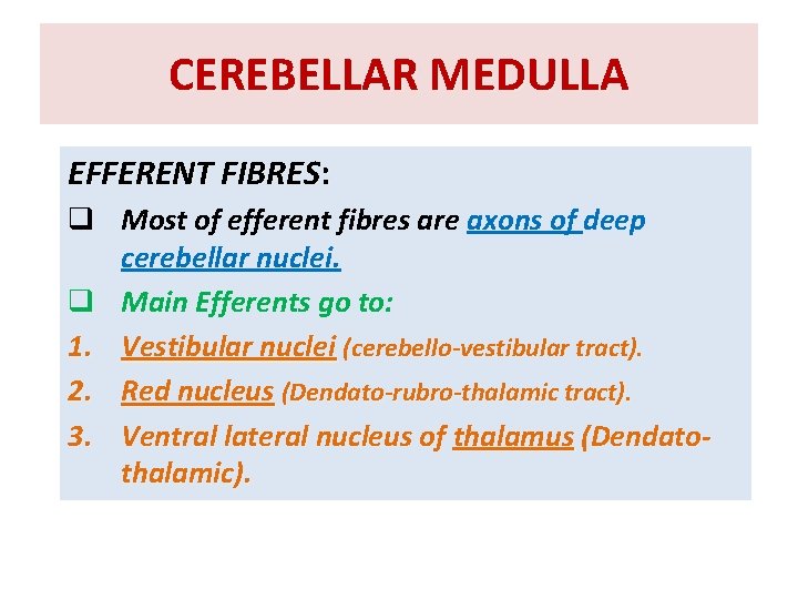 CEREBELLAR MEDULLA EFFERENT FIBRES: q Most of efferent fibres are axons of deep cerebellar