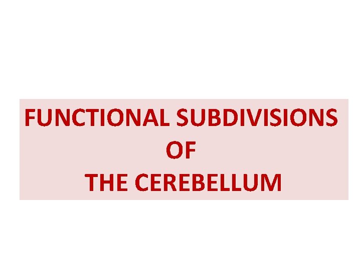 FUNCTIONAL SUBDIVISIONS OF THE CEREBELLUM 