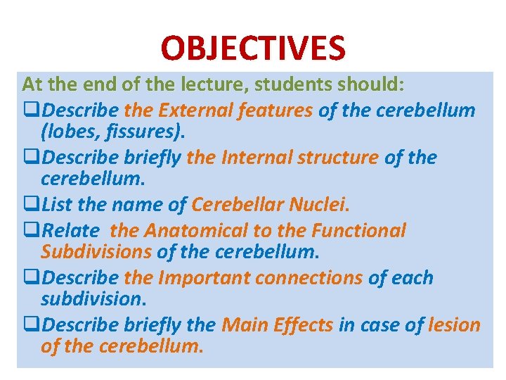 OBJECTIVES At the end of the lecture, students should: q. Describe the External features