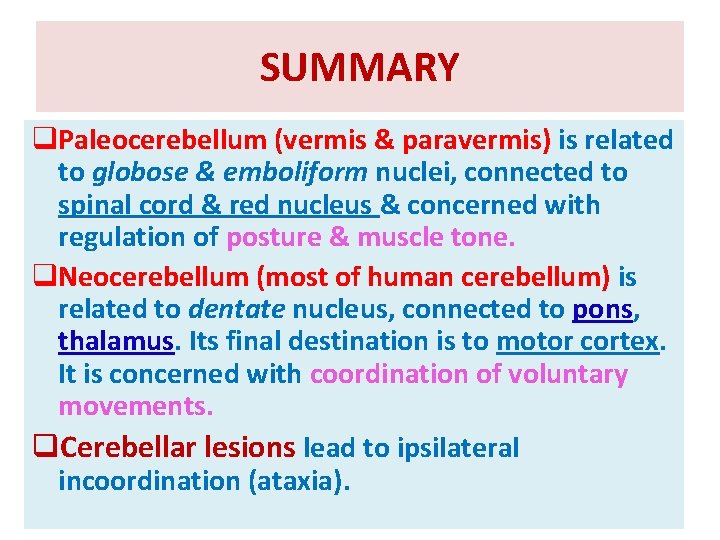 SUMMARY q. Paleocerebellum (vermis & paravermis) is related to globose & emboliform nuclei, connected