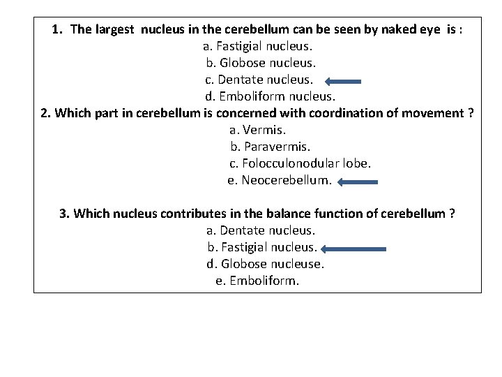 1. The largest nucleus in the cerebellum can be seen by naked eye is