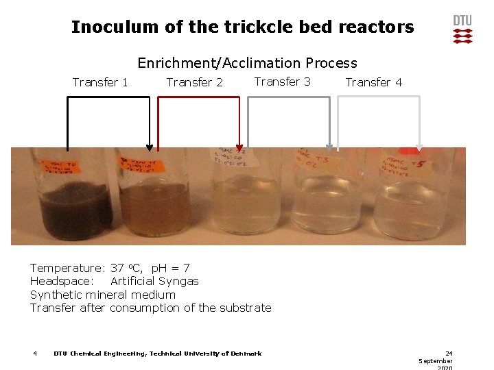Inoculum of the trickcle bed reactors Enrichment/Acclimation Process Transfer 1 Transfer 2 Transfer 3