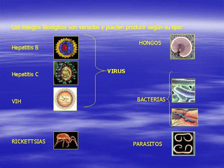 Los Riesgos Biológicos son variados y pueden producir según su tipo: HONGOS Hepatitis B