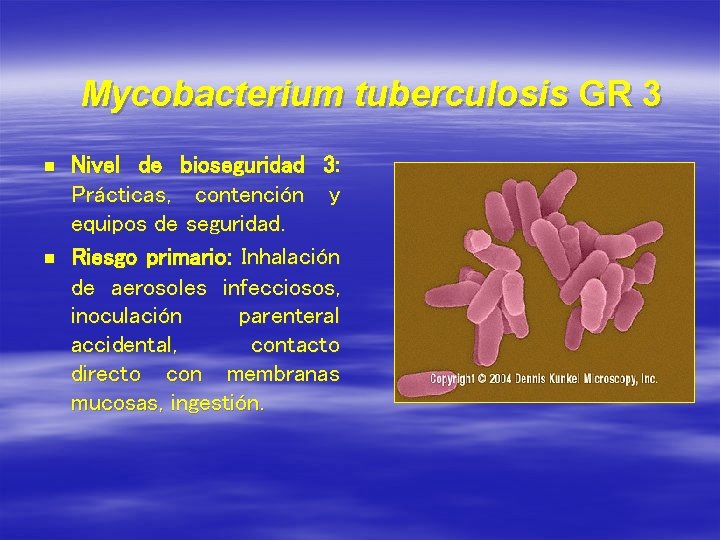 Mycobacterium tuberculosis GR 3 n n Nivel de bioseguridad 3: Prácticas, contención y equipos