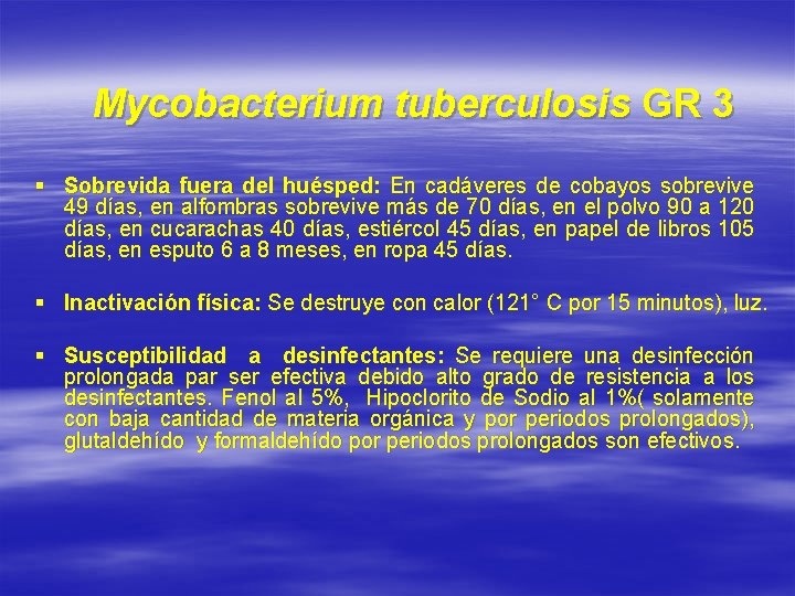 Mycobacterium tuberculosis GR 3 § Sobrevida fuera del huésped: En cadáveres de cobayos sobrevive
