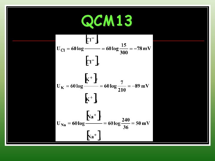 QCM 13 