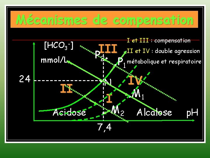 Mécanismes de compensation [HCO 3 -] mmol/L 24 II Acidose III P. I et