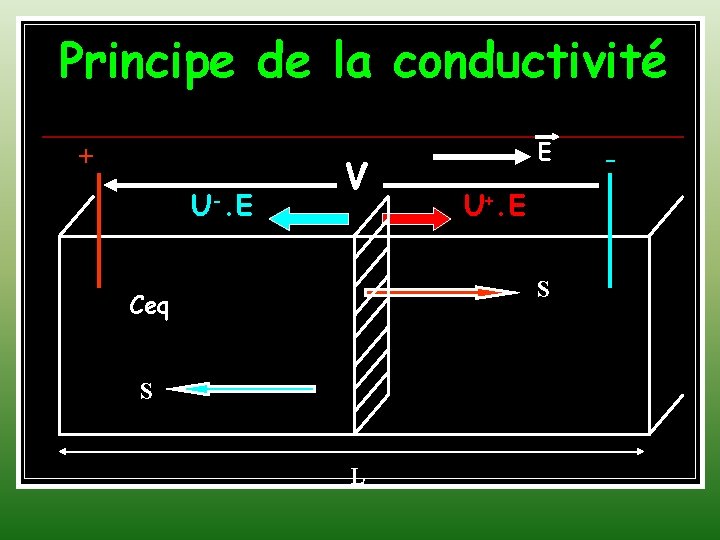 Principe de la conductivité + U-. E V E U+. E S Ceq S