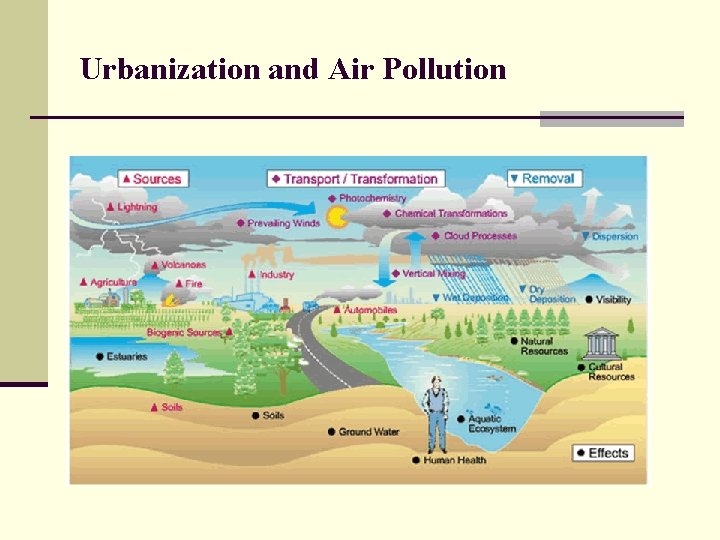 Urbanization and Air Pollution 
