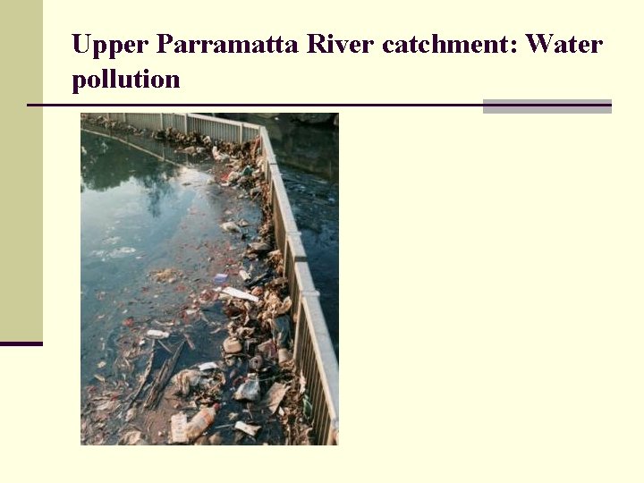 Upper Parramatta River catchment: Water pollution 