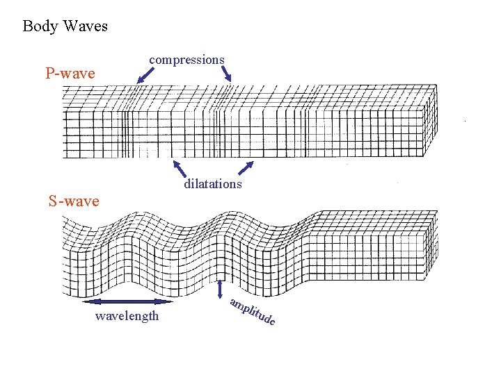Body Waves compressions P-wave dilatations S-wavelength am plit ude 