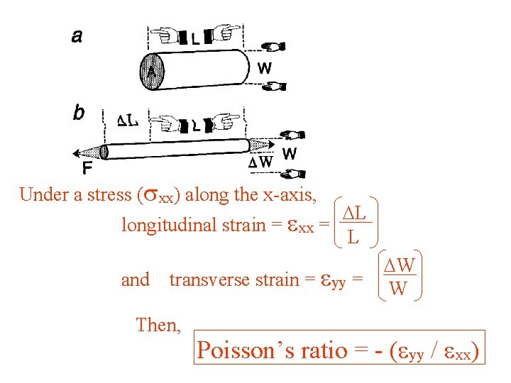Under a stress (sxx) along the x-axis, DL longitudinal strain = exx = L