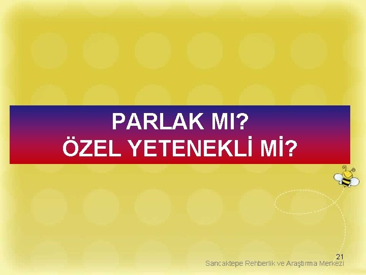 PARLAK MI? ÖZEL YETENEKLİ Mİ? 21 Sancaktepe Rehberlik ve Araştırma Merkezi 