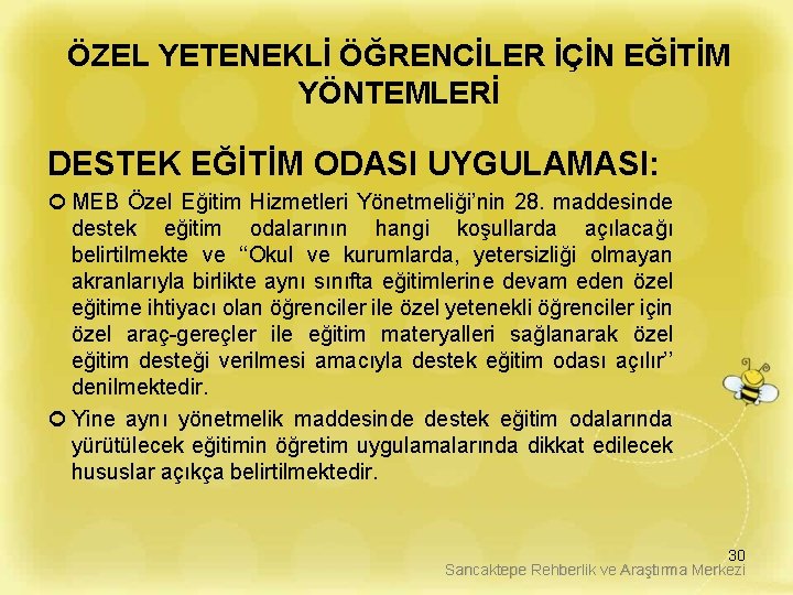 ÖZEL YETENEKLİ ÖĞRENCİLER İÇİN EĞİTİM YÖNTEMLERİ DESTEK EĞİTİM ODASI UYGULAMASI: MEB Özel Eğitim Hizmetleri