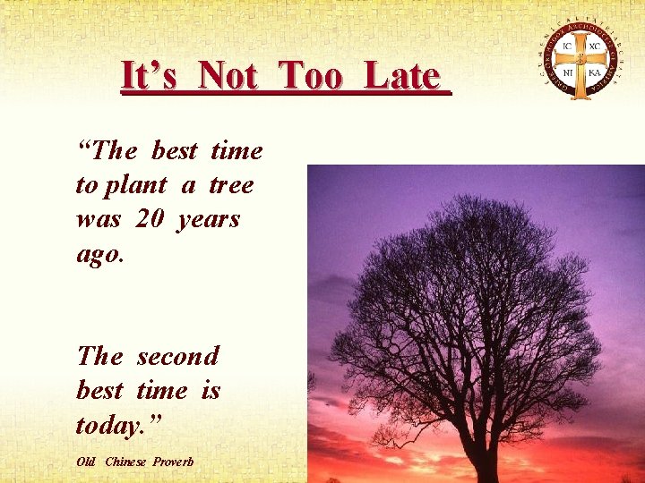 It’s Not Too Late “The best time to plant a tree was 20 years