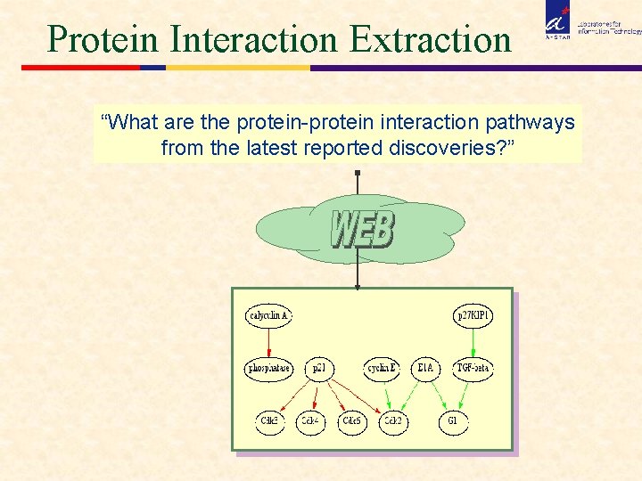 Protein Interaction Extraction “What are the protein-protein interaction pathways from the latest reported discoveries?