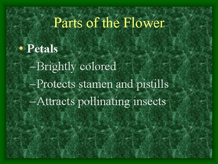 Parts of the Flower • Petals – Brightly colored – Protects stamen and pistills