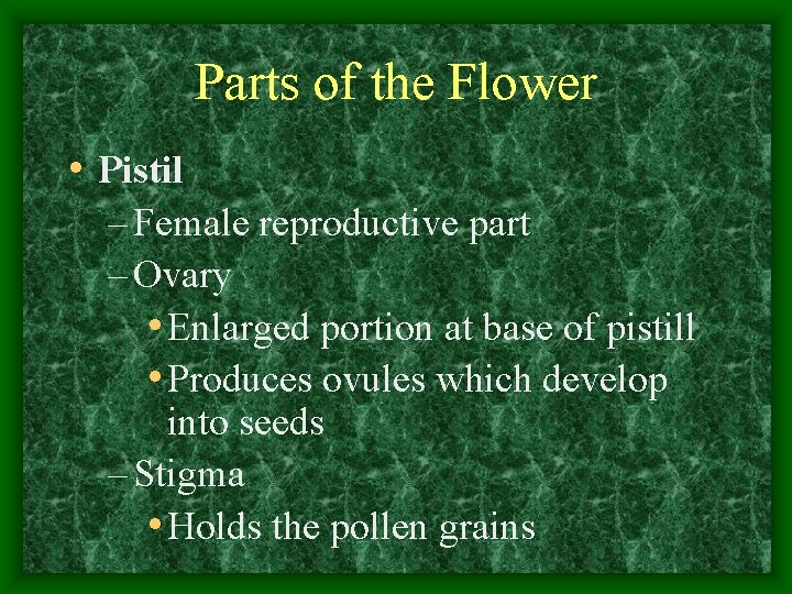 Parts of the Flower • Pistil – Female reproductive part – Ovary • Enlarged