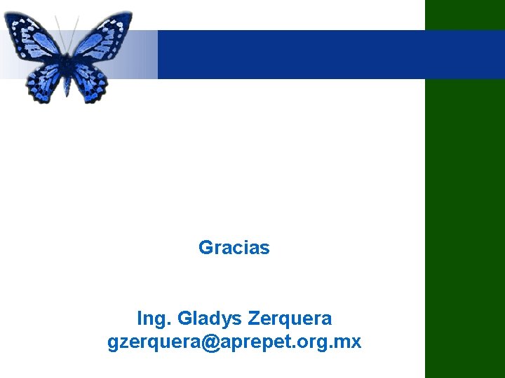 Gracias Ing. Gladys Zerquera gzerquera@aprepet. org. mx 