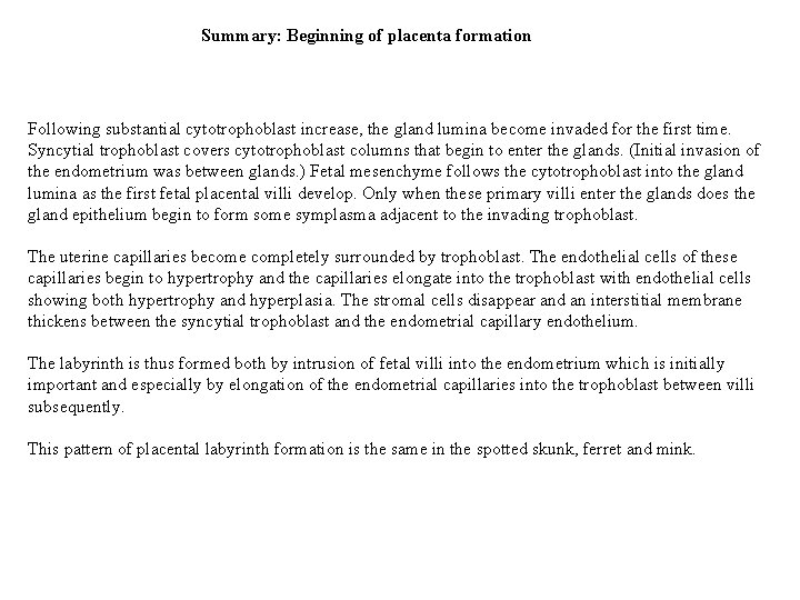 Summary: Beginning of placenta formation Following substantial cytotrophoblast increase, the gland lumina become invaded