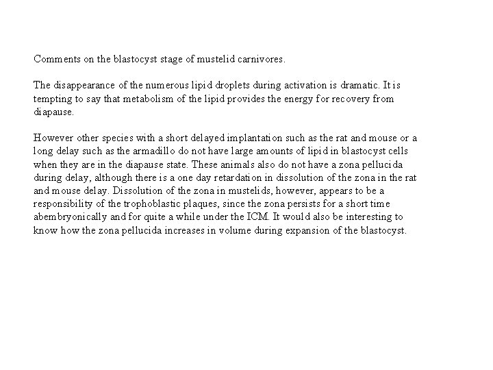 Comments on the blastocyst stage of mustelid carnivores. The disappearance of the numerous lipid