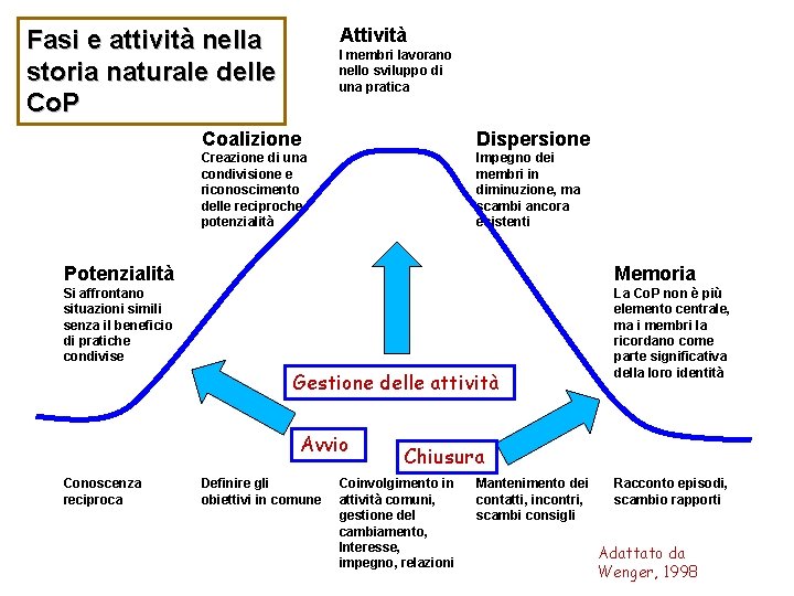 Attività Fasi e attività nella storia naturale delle Co. P I membri lavorano nello