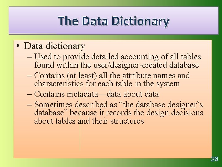 The Data Dictionary • Data dictionary – Used to provide detailed accounting of all