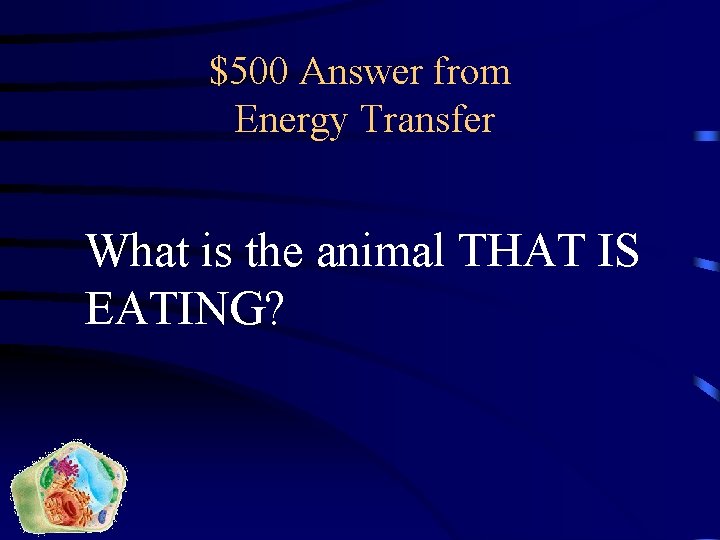 $500 Answer from Energy Transfer What is the animal THAT IS EATING? 