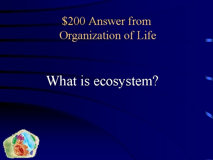 $200 Answer from Organization of Life What is ecosystem? 