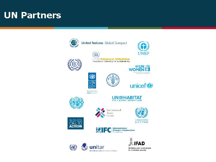 UN Partners 