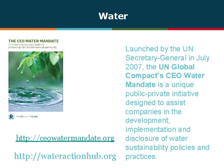 Water http: //ceowatermandate. org http: //wateractionhub. org Launched by the UN Secretary-General in July