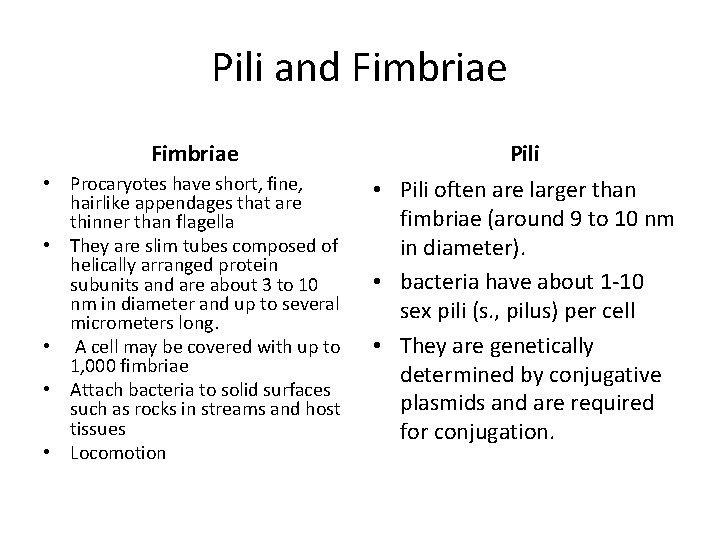 Pili and Fimbriae Pili • Procaryotes have short, fine, hairlike appendages that are thinner