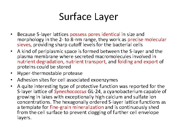 Surface Layer • Because S-layer lattices possess pores identical in size and morphology in