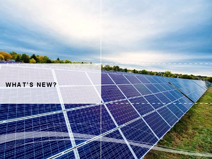 WHAT’S NEW? 