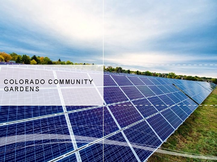 COLORADO COMMUNITY GARDENS 