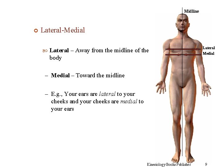 Midline Lateral-Medial Lateral – Away from the midline of the body Lateral Medial –